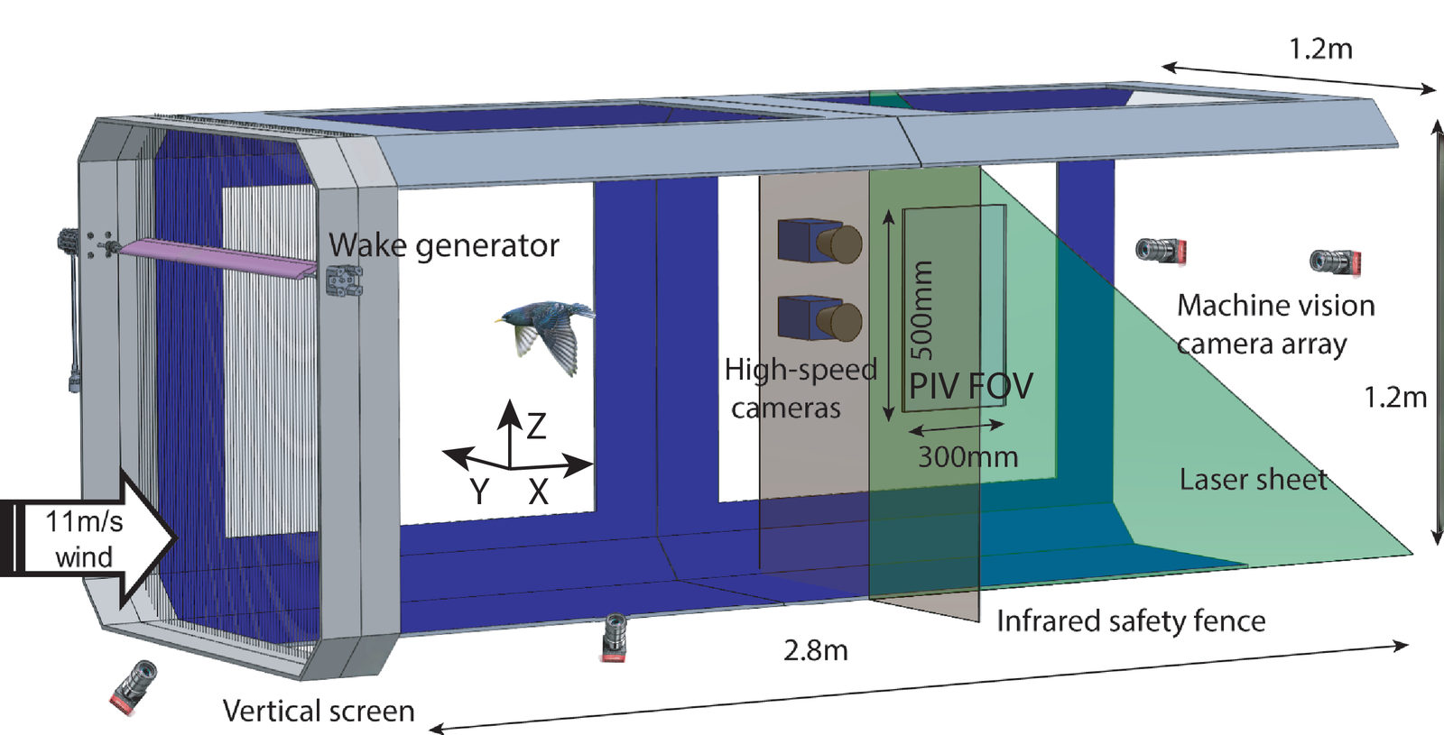 Schematic of the animal flight wind tunnel: upstream wake generator, high-speed cameras, PIV field of view and laser sheet, and the downstream machine vision camera array